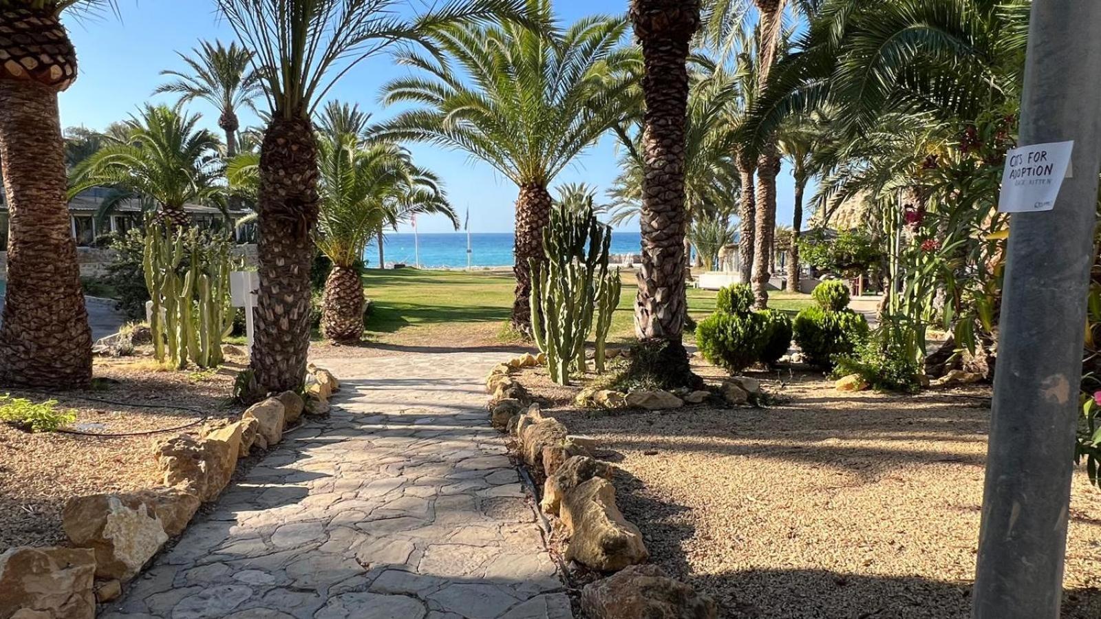 Modern Sea View With Private Jacuzzi Villajoyosa